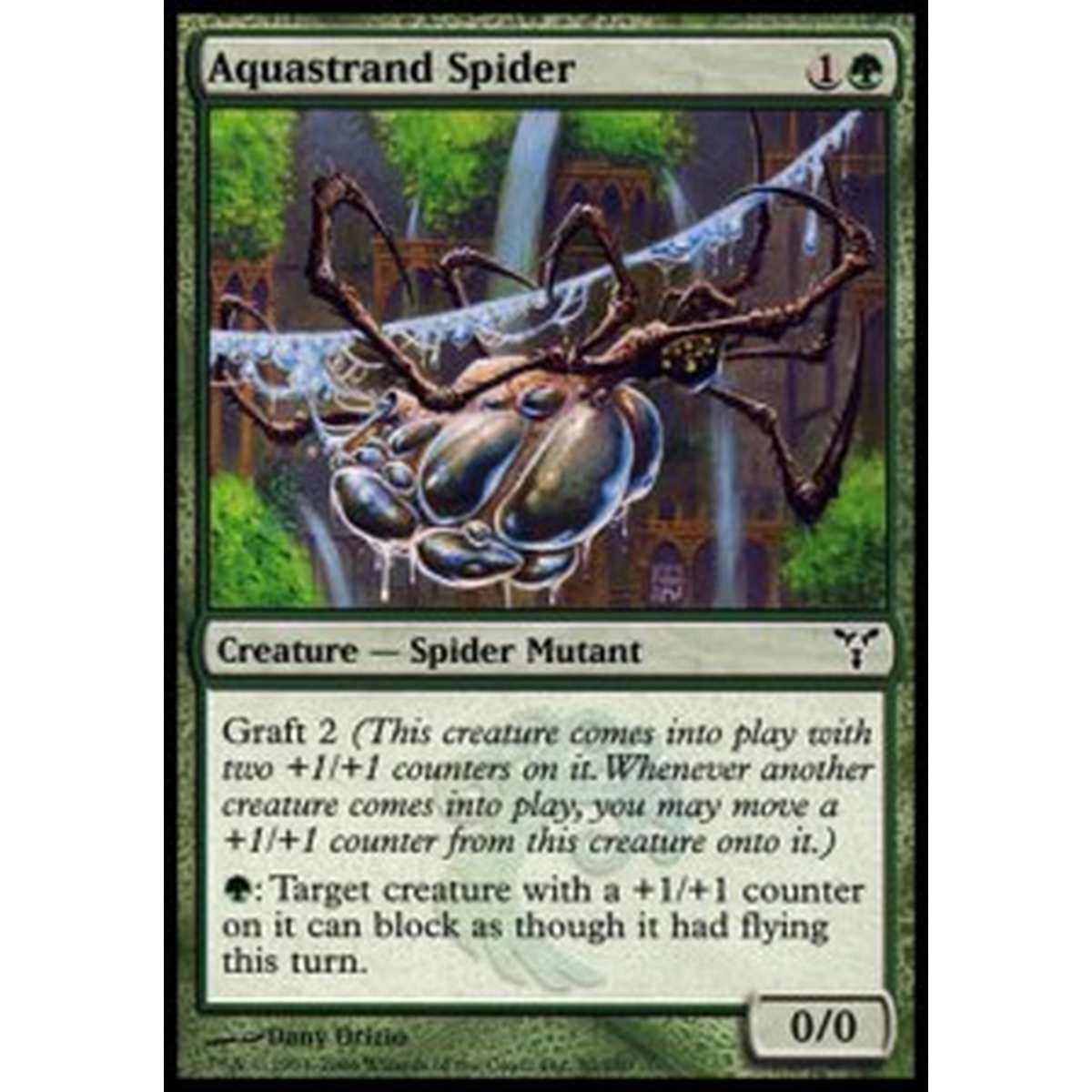 Aquastrand Spider - Ragno Acquatela - [DIS] [NM]