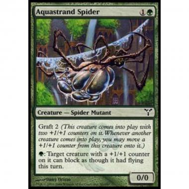 Aquastrand Spider - Ragno Acquatela - [DIS] [NM]