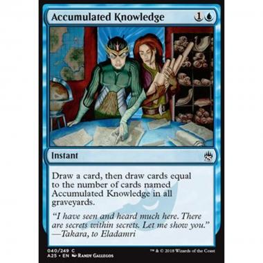 Accumulated Knowledge - Accumulated Knowledge - [A25] [NM]