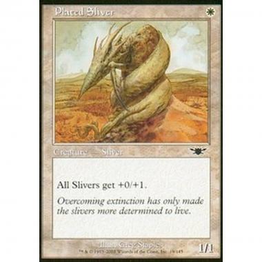 Plated Sliver - Plated Sliver - [LGN] [EX]