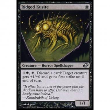 Ridged Kusite - Colamitropo - [PLC] [NM]