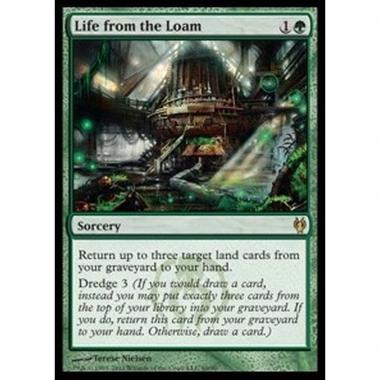 Life from the Loam - Life from the Loam - [DDJ] [EX]