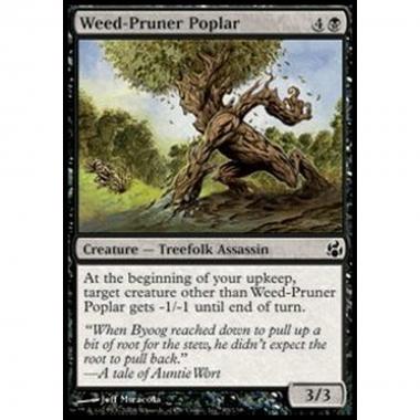 Weed-Pruner Poplar - Pioppo Tagliaerbacce - [MOR] [NM]