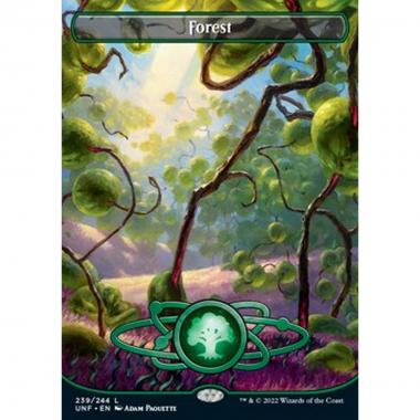 Forest (V.1) - Forest (V.1) - [UNF][NM] [Foil]