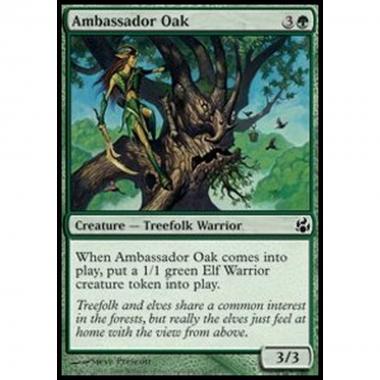 Ambassador Oak - Quercia Ambasciatrice - [MOR] [NM]