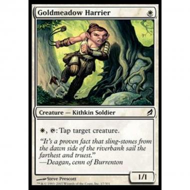 Goldmeadow Harrier - Vessatrice della Prateria Dorata - [LRW] [NM]