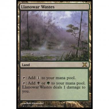 Llanowar Wastes - Distese di Llanowar - [10E][EX]