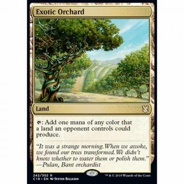 Exotic Orchard - Exotic Orchard - [C19][NM]