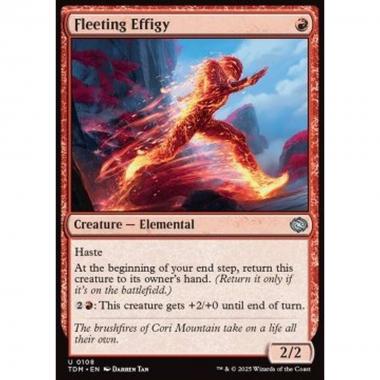 Fleeting Effigy - Fleeting Effigy - [TDM][NM]