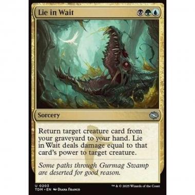 Lie in Wait - Lie in Wait - [TDM][NM]