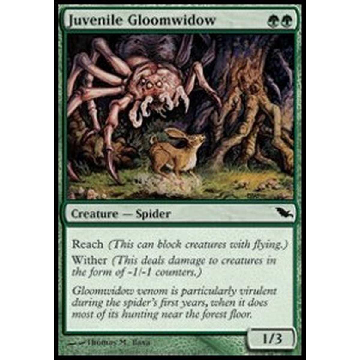 Juvenile Gloomwidow - Juvenile Gloomwidow - [SHM] [NM]