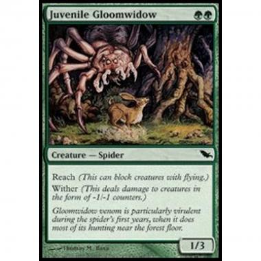 Juvenile Gloomwidow - Juvenile Gloomwidow - [SHM] [NM]