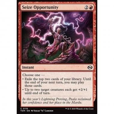 Seize Opportunity - Seize Opportunity - [TDM][NM]
