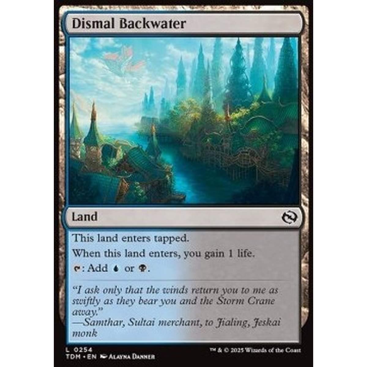 Dismal Backwater - Dismal Backwater - [TDM][NM]