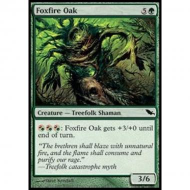 Foxfire Oak - Quercia Infiammata - [SHM] [NM]