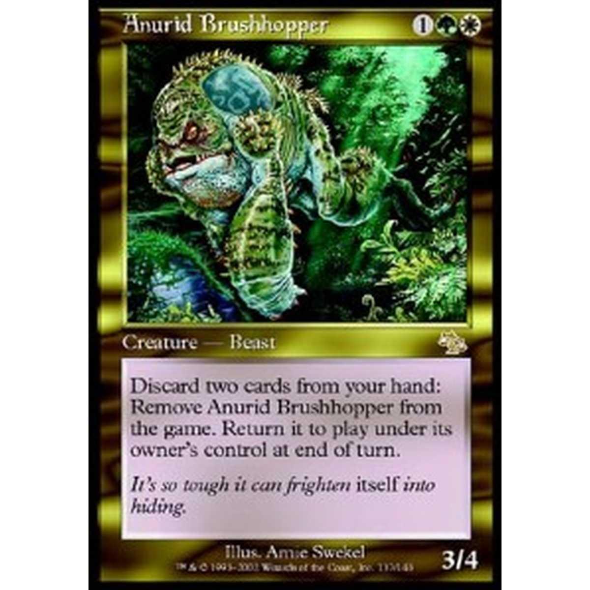 Anurid Brushhopper - Saltacespugli Anuro - [JUD][GD]