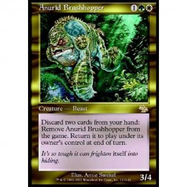 Anurid Brushhopper - Saltacespugli Anuro - [JUD][GD]