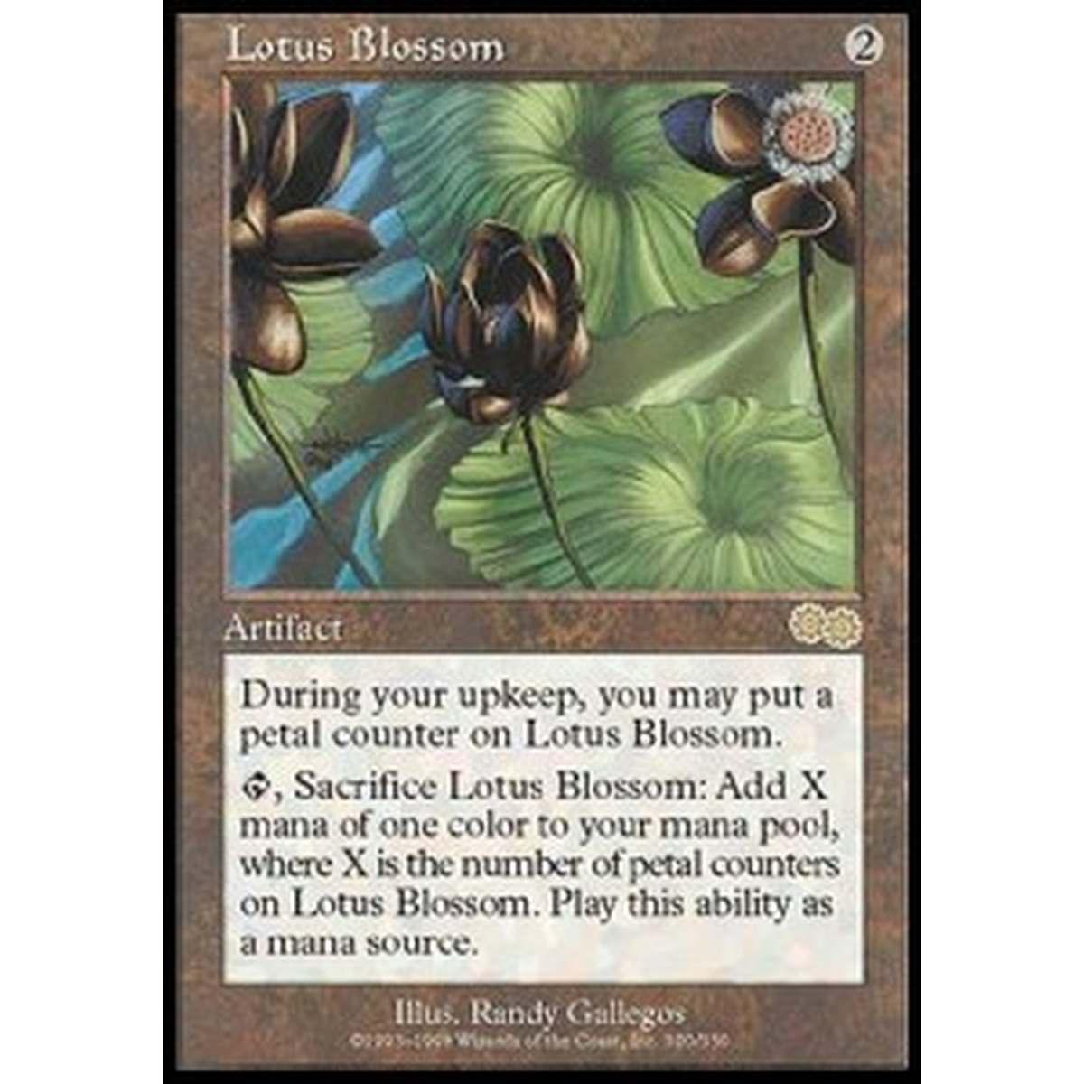 Lotus Blossom - Lotus Blossom - [USG][GD]