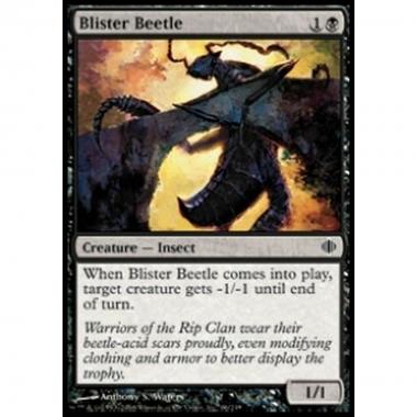 Blister Beetle - Blister Beetle - [ALA] [NM]