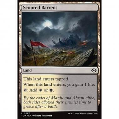 Scoured Barrens - Scoured Barrens - [TDM][NM] [Foil]