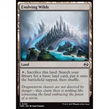 Evolving Wilds - Evolving Wilds - [TDM][NM] [Foil]
