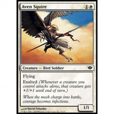 Aven Squire - Scudiero Aviano - [CONF] [NM]