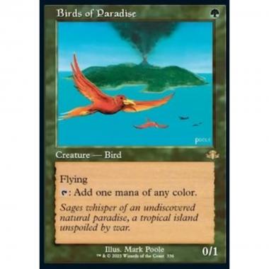 Birds of Paradise (V.1) - Birds of Paradise (V.1) - [XDMR][NM]