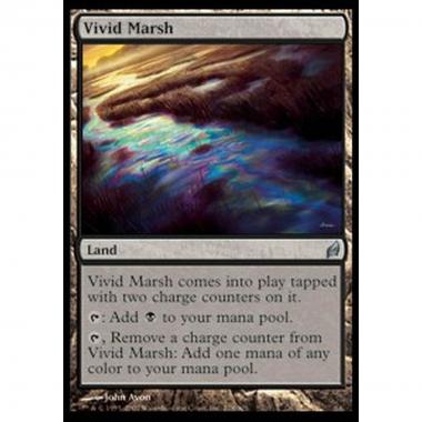 Vivid Marsh - Vivid Marsh - [LRW][EX]