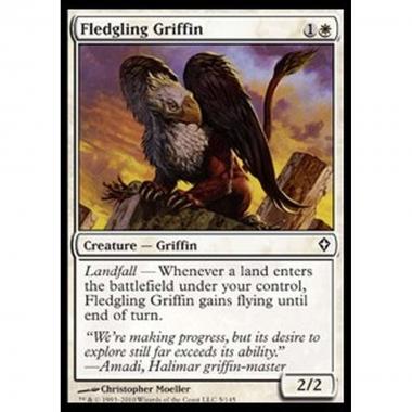 Fledgling Griffin - Grifone Implume - [WWK] [NM]