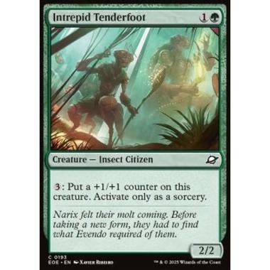 Intrepid Tenderfoot - Intrepid Tenderfoot - [EOE][NM]