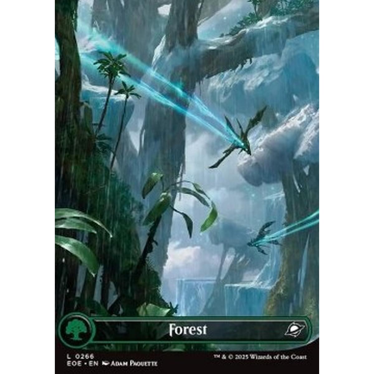 Forest (V.1) - Forest (V.1) - [EOE][NM]