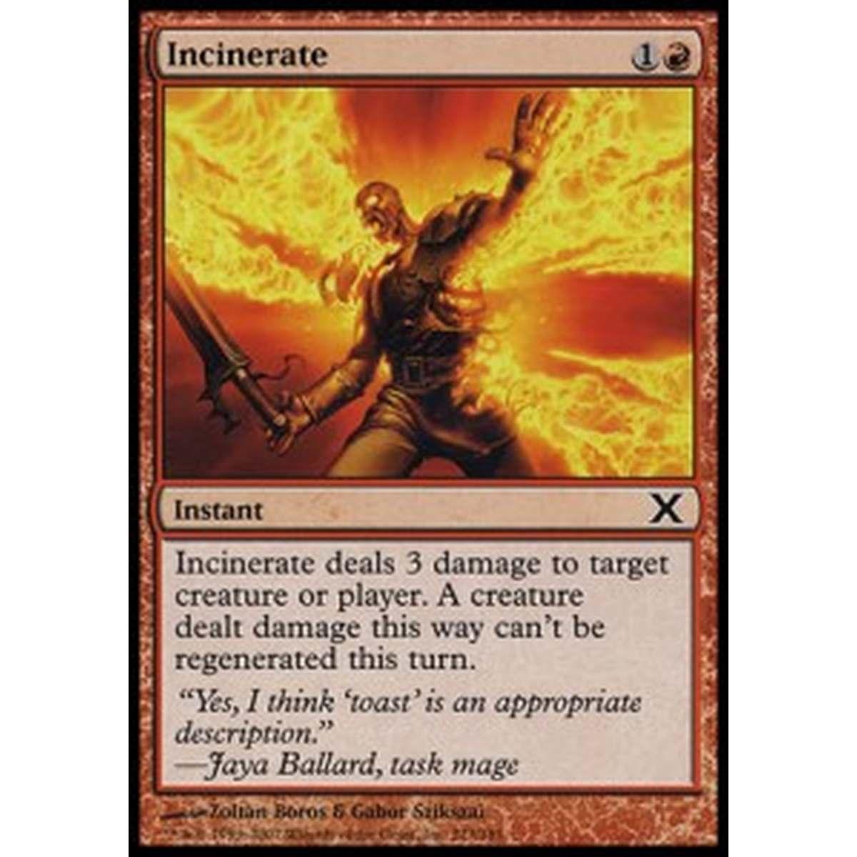 Incinerate - Incenerire - [10E][EX]
