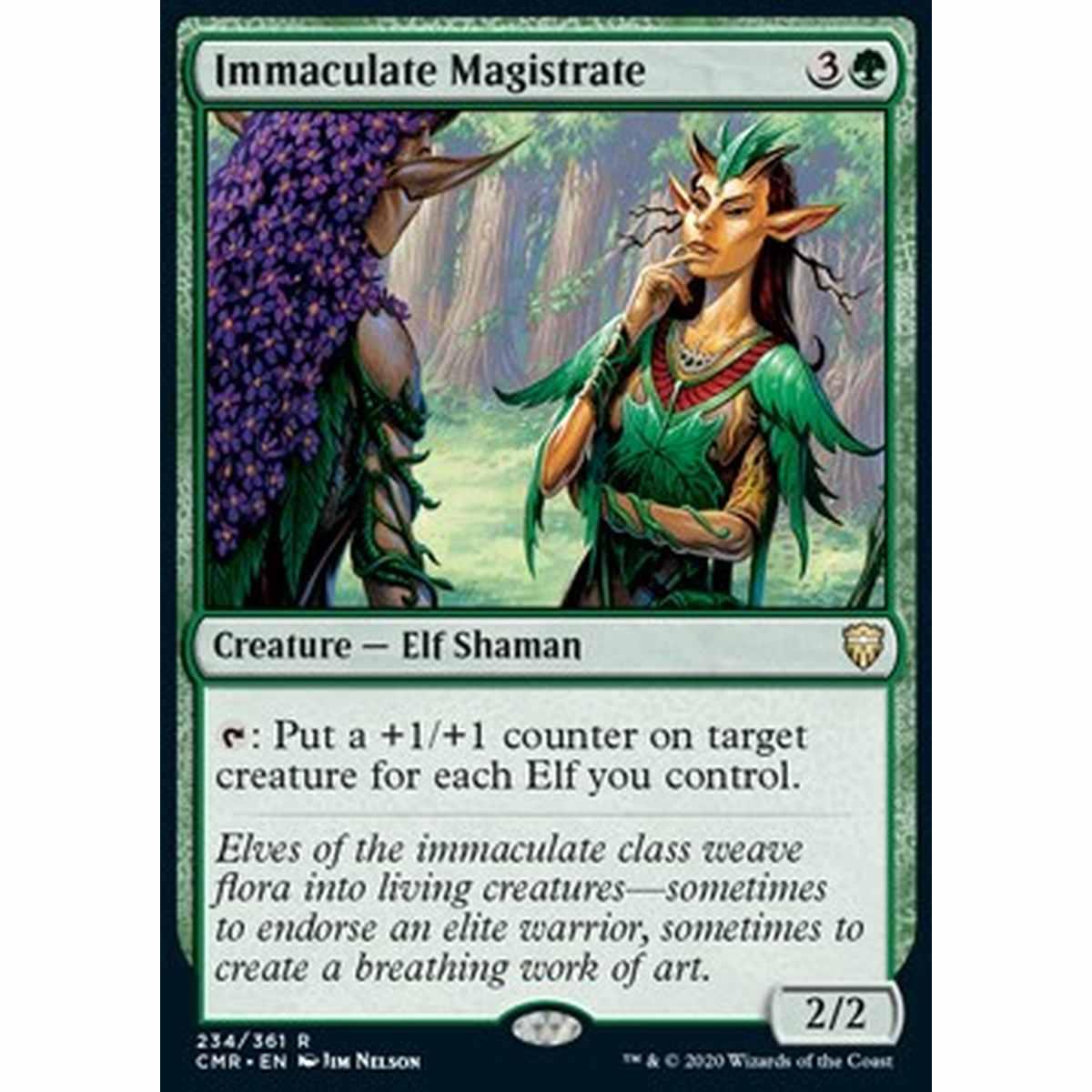 Immaculate Magistrate - Magistrato Immacolato - [CMR][NM]