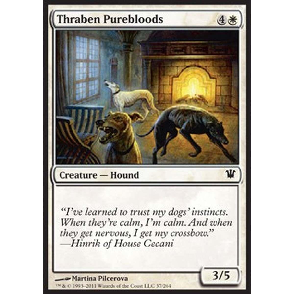 Thraben Purebloods - Purosangue di Thraben - [ISD] [NM]