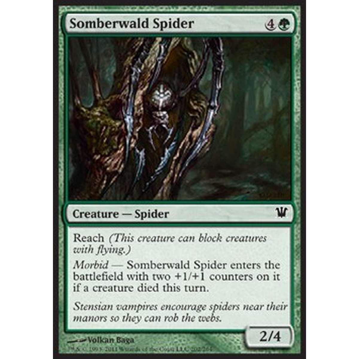 Somberwald Spider - Ragno di Somberwald - [ISD] [NM]