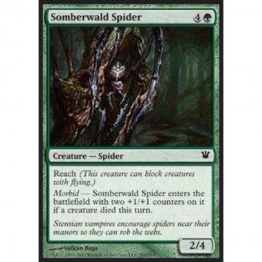 Somberwald Spider - Ragno di Somberwald - [ISD] [NM]