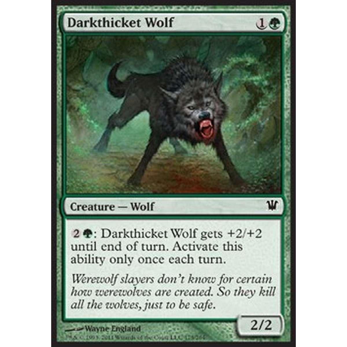 Darkthicket Wolf - Lupo della Selva Oscura - [ISD] [NM]