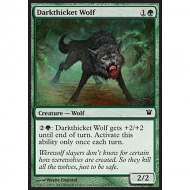 Darkthicket Wolf - Lupo della Selva Oscura - [ISD] [NM]