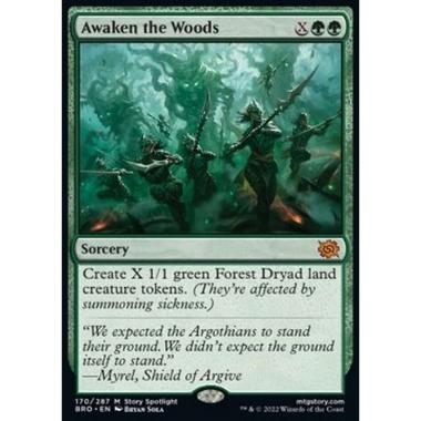 Awaken the Woods - Risvegliare la Selva - [BRO][NM]