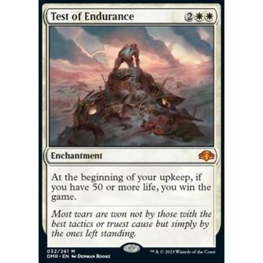 Test of Endurance - Test of Endurance - [DMR][NM]