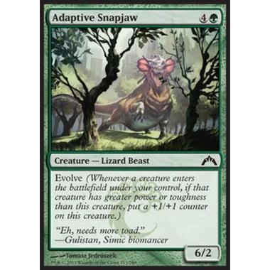 Adaptive Snapjaw - Mordifauce Adattiva - [GTC] [NM]