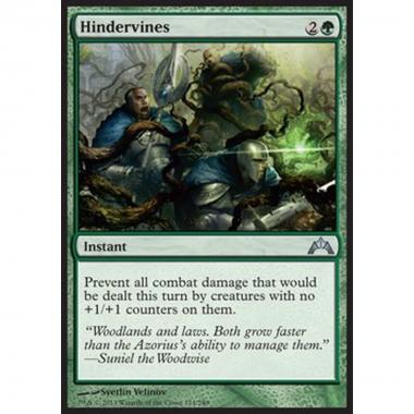 Hindervines - Viticci Intralcianti - [GTC] [NM]