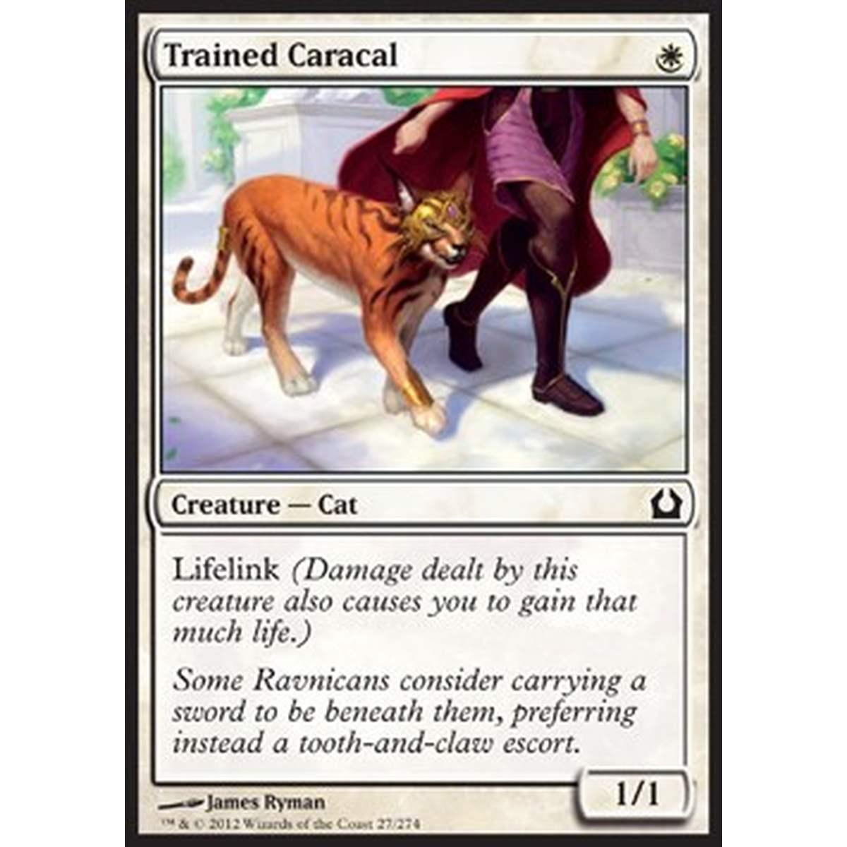 Trained Caracal - Lince Addestrata - [RTR] [EX]