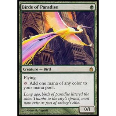 Birds of Paradise - Birds of Paradise - [RAV][EX]