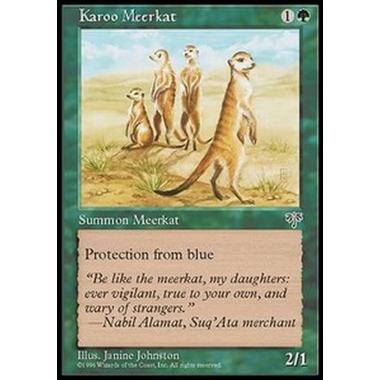 Karoo Meerkat - Karoo Meerkat - [MIR][EX]