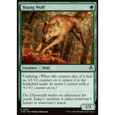 Young Wolf - Young Wolf - [INR][NM]