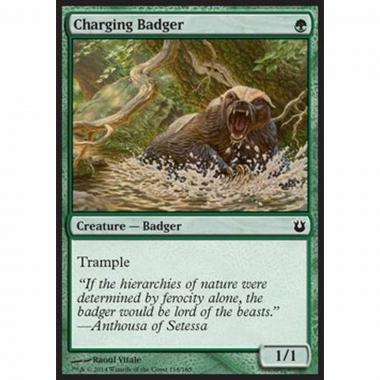 Charging Badger - Tasso alla Carica - [BNG] [NM]