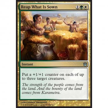 Reap What Is Sown - Mietere il Raccolto - [BNG] [NM]