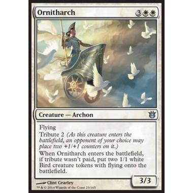 Ornitharch - Ornitarca - [BNG] [NM]