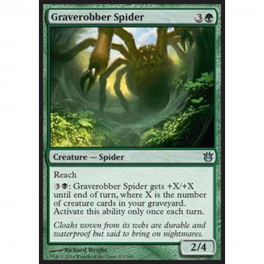Graverobber Spider - Ragno Profanatombe - [BNG] [NM]
